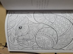 COLORFUL ESCAPES – The colors of Nature! Vol. 26 -Adult Coloring Book – 31 Pages