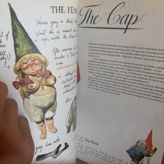 The #1 Bestseller Gnomes Forest Gnome Paperback Book