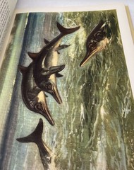 Prehistoric Animals J. Augusta-Z. Burian Vintage Dinosaur Book HC