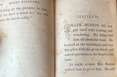 Honey Blossoms for Little Bees 1859 Victorian Decorative Binding Antique 1st Ed