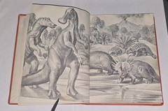 DINOSAURS True First Edition 1954 by Herbert S Zim Hardcover RARE School Library