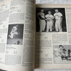 Who’s Who in Baseball History Johnson & Ward Hardcover-DJ-Illustrated-1994 (34)