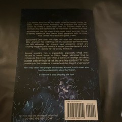Fallen Jester by Devney Perry (2021, Trade Paperback, Tin Gypsy Series, Romance)