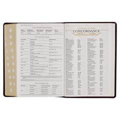 KJV Study Bible Large Print Thumb Indexed 2 Ribbons BRAND NEW in Shrink Wrap!!!