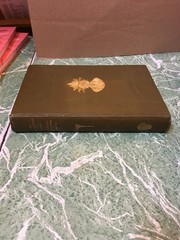 BUREAU OF AMERICAN ETHNOLOGY 29th Annual Report 1907/08 HB Smithsonian