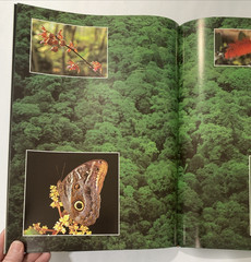 Tropical Rainforests of the World Rupert Matthews Nature Wildlife Photography