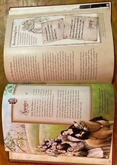 The Raucous Royals: Test Your Royal Wits: Crack Co… by Beccia, Carlyn Hardback