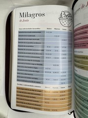 Biblia Letra Grande 11.5 Puntos Rv1960 con Cierre Marrón Elegante