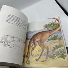 Dinosaur Hardcover Books 1991 Janet Riehecky The Child’s World Series 18 Books