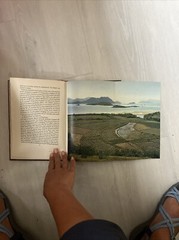 HONG KONG BOOK 1962 MARTIN HüRLIMANN EXCELLENT PHOTOS
