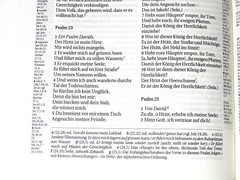 German Bible, Die Bibel, Schlachter 2000, Imitation Leather, Brown Black 2-toned