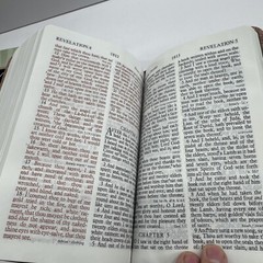 Thomas Nelson Bible KJV GP Reference 0543A Red Letter Self Pronouncing 2 Tone