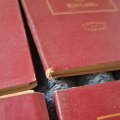 Little Leather Library Miniature Leather Bound Set 1920 HC English
