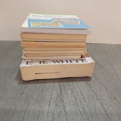 Lot of 10 Mixed Random Children’s Books and Young Adult Novels, Classic Stories