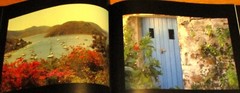 2008 In The Garden by Rosanna Hunt SIGNED Hardcover Book D/J 39 Pages RARE!!