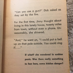 My Sky Is Blue Loula Grace Erdman 1965 Willow Books School Story Romance Book