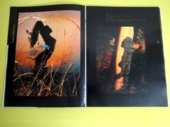 Erotic photo album I am a woman I am a blade of grass I am dew 2005 V. Pilipyuk