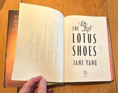 The Lotus Shoes by Jane Yang Hardcover Fiction Novel, Sisterhood, Historical