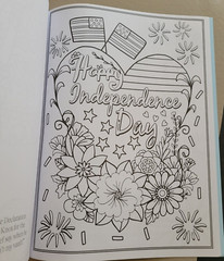 4th OF JULY ADULT COLORING BOOK – 2022 CENTENNIAL – 32 FESTIVE COLORING PAGES