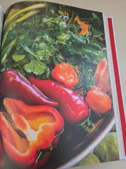 AMALIA’S MESOAMERICAN TABLE 1ST EDIT/PRINTING SIGNED COOKBOOK, LIKE NEW. MEXICAN
