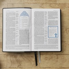 Alexander Maclaren Study Bible: Encouragement and Insights for a…