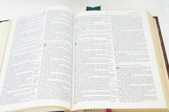Holy Bible NKJV Red Family Edition Leather1985 Nelson 255BGCE 11.5×8.5×2 Inches