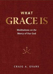 What Grace Is: Meditations on the – Hardcover, by Evans Craig A. – Very Good b