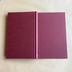 The Cheap-Eaters by Thomas Bernhard – Vintage First Edition hardcover 1990
