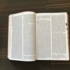 NASB Super Giant Print Reference Bible Burnt Sienna Leather Touch *NEW*