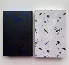 Cover-to-Cover Book Box – Little Dove by Layla Frost