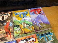 15 Del Rey Wizard of Oz Books Set 1-15 (L.Frank Baum 1-14 & #15) Lot