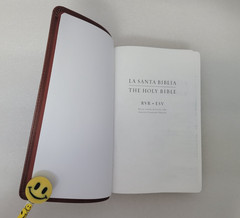 RVR / ESV *Bilingual* English/Spanish Bible La Santa Biblia / The Holy Bible