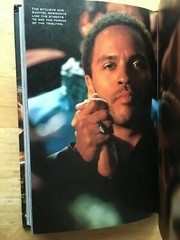 The World of the Hunger Games (Hardcover)