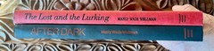 After Dark/the Lost and the Lurking*Manly Wade Wellman HCDJ 1st ed BCE NEAR FINE