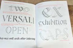 The Practical Guide To Calligraphy By Rosemary Sassoon Paperback 96 Pages