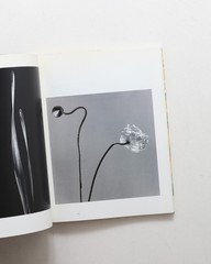 Ishimoto Yasuhiro Iro to Katachi Photography Flowers Photo Book Hardcover