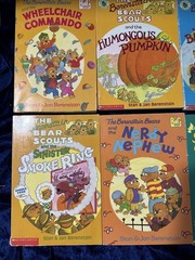 Lot of 10 The Berenstain Bears BIG Chapter Books By Stan & Jan Berenstain