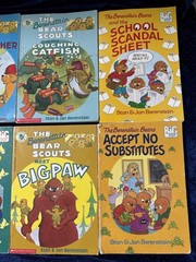 Lot of 10 The Berenstain Bears BIG Chapter Books By Stan & Jan Berenstain