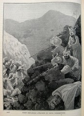 1898 Victorian Exploration Sea Travel Arctic Africa Tropics Safari Wild Animals