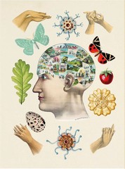 The Antiquarian Sticker Book: Over 1,000 Exquisite Victorian Stickers (The