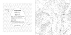 Animals: A Smithsonian Coloring Book Box Set, Smithsonian Institution, Excellent