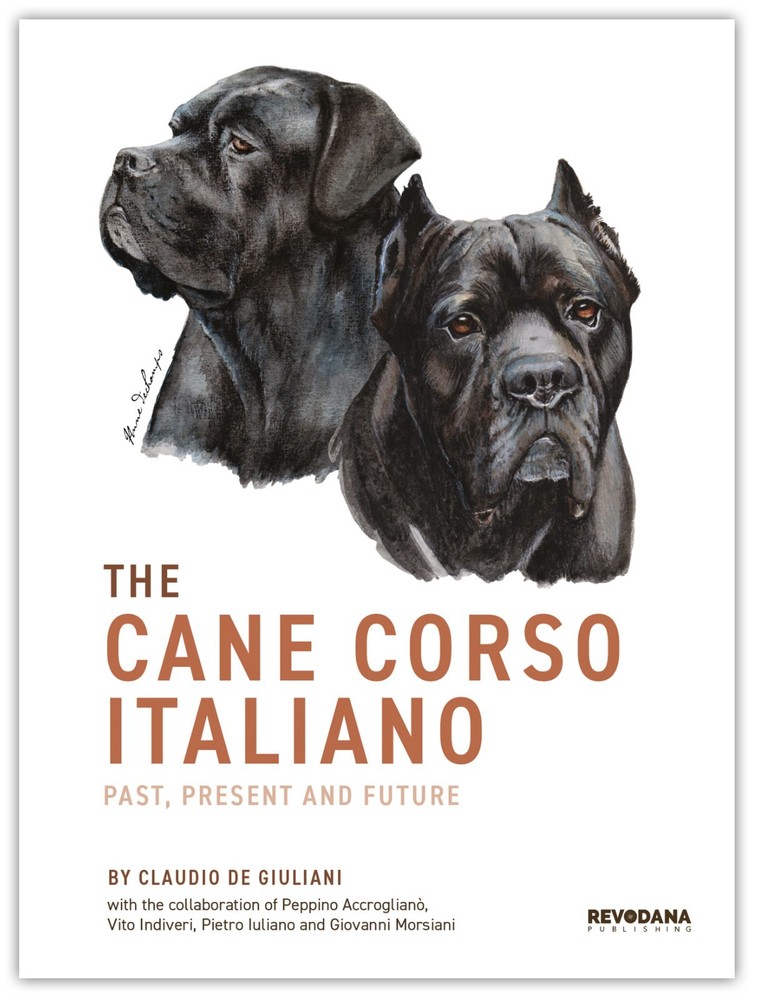 The CANE CORSO Italiano in ENGLISH by Claudio De Giuliani HARDCOVER 500+ pages