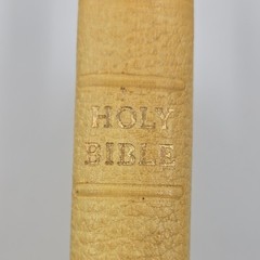 World Publishing Authorized King James The Holy Bible Self-Pronouncing Leather