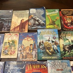 Chapter Books Fantasy-Lot of 18-dragons, Warriors, Narnia, Choose Own Adventure