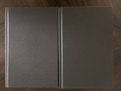 New Shield of Sparrows Rites of the Starling 1st Edition Deluxe Sprayed Edges