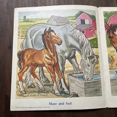 Vintage Linenette Books Animal Friends lot of 4 Sam’l Gabriel Sons & Co. 1941