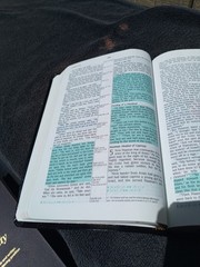1998 NIV Prophecy Marked Reference Study Bible Bonded Leather Great Resource!