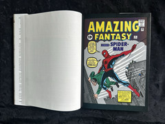 Marvel Masterworks Amazing Spiderman Vol. 1. AMS #1-10 & Amazing Fantasy #15.