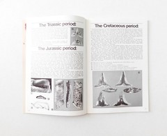 Fossil Sharks: a pictorial review by Gerard R. Case 1973 Signed 1st Printing
