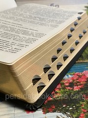 Russian Bible Index Leather Medium Size Русская Библия Индексы